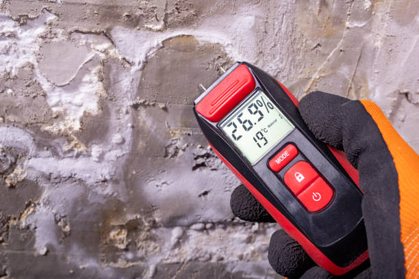  Garden City, KS Mold Removal Pros
