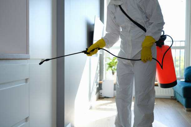 Best Water Damage Restoration  in Garden City, KS