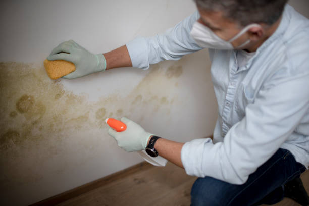 Best Mold Testing  in Garden City, KS