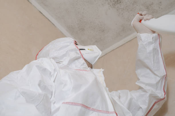 Best Office Mold Removal Services  in Garden City, KS