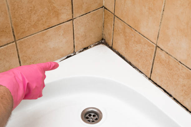 Best Certified Mold Removal  in Garden City, KS